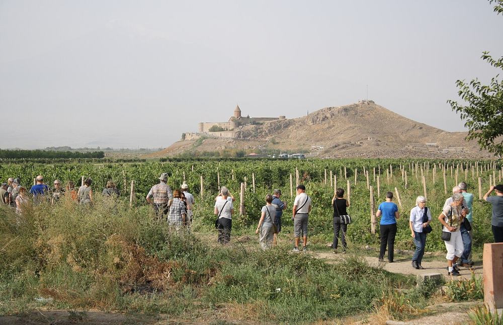 Il gruppo a piedi tra le vigne, con il monastero di Khor Virap sulla collina