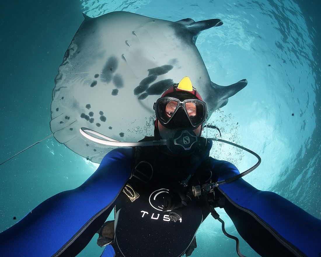 La manta a Nusa Penida