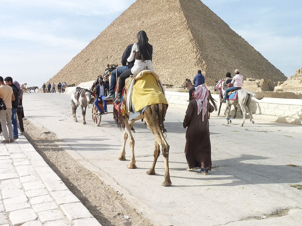 In cammello verso le piramidi di Giza