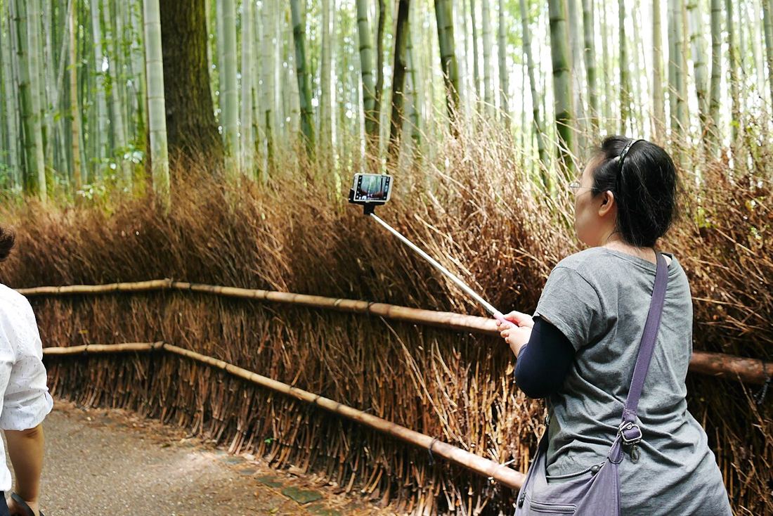 Il bosco di bambù di Arashiyama