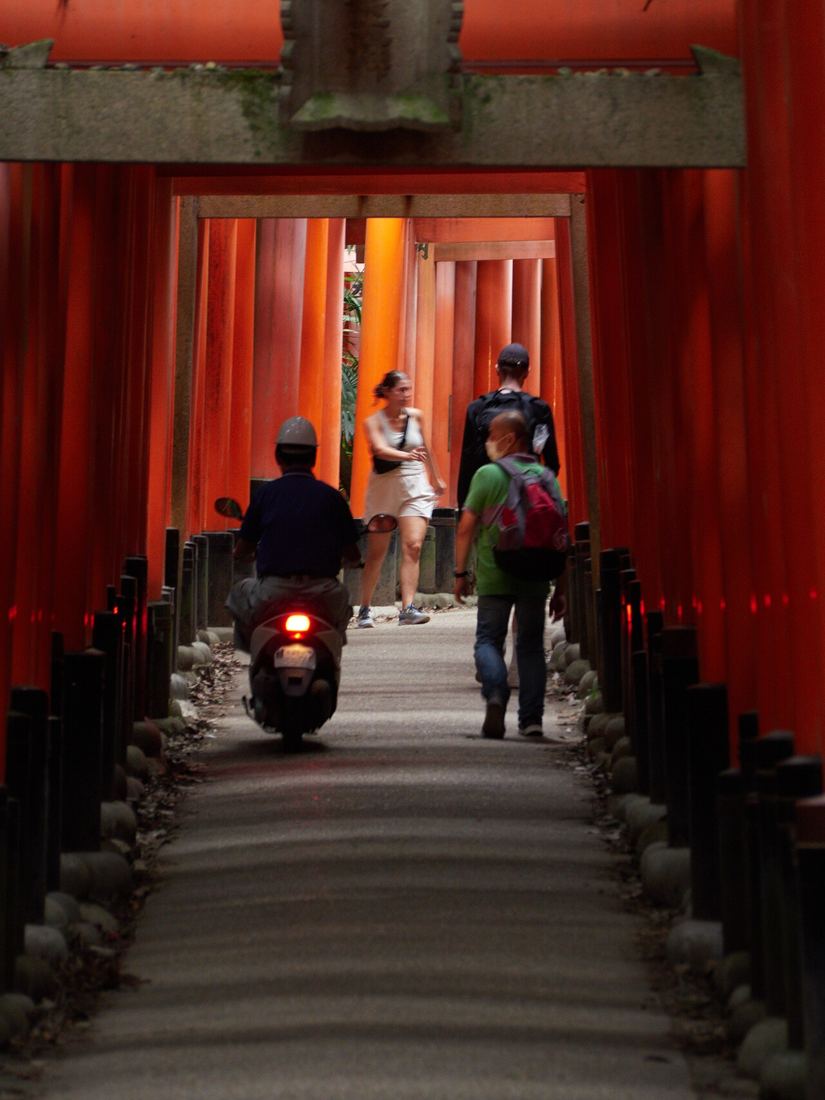 Il sentiero dei torii a Fushimi Inari