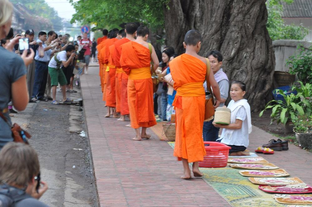 La questua dei monaci all’alba a Luang Prabang, con i turisti che fotografano