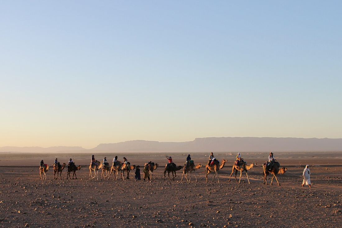La carovana verso il campo, al tramonto
