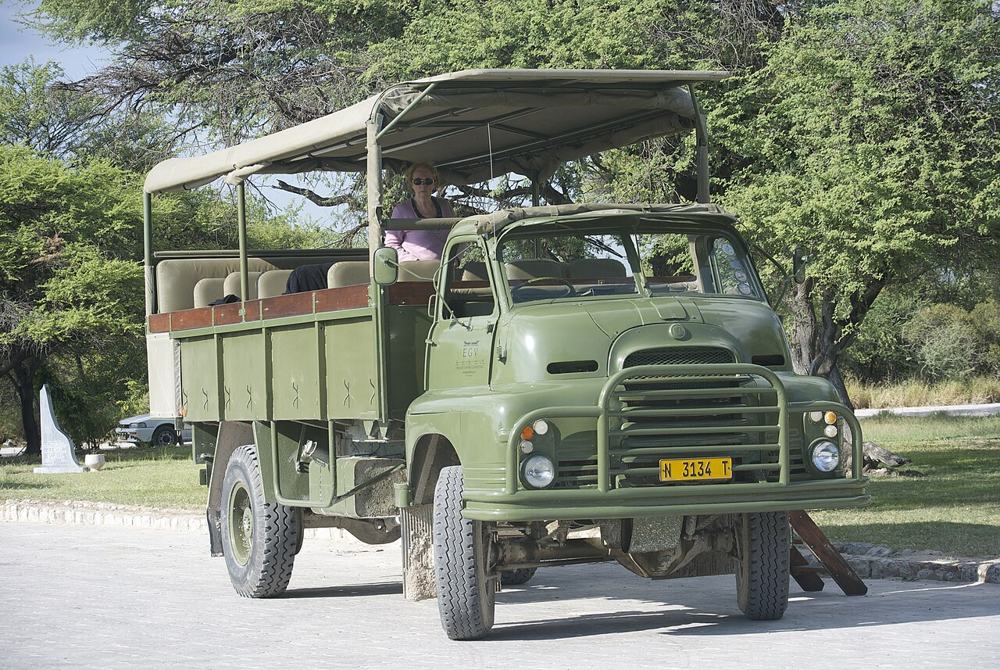 Il camion aperto nel parco di Etosha