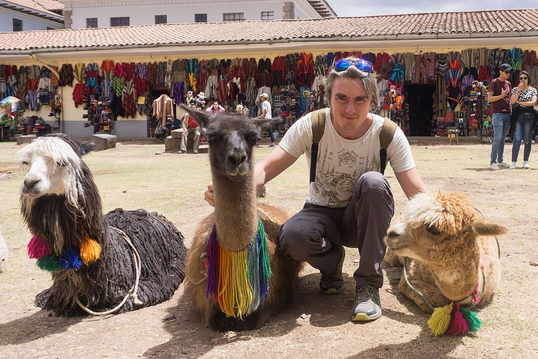 Abbracciato a un lama e a un alpaca a Cusco