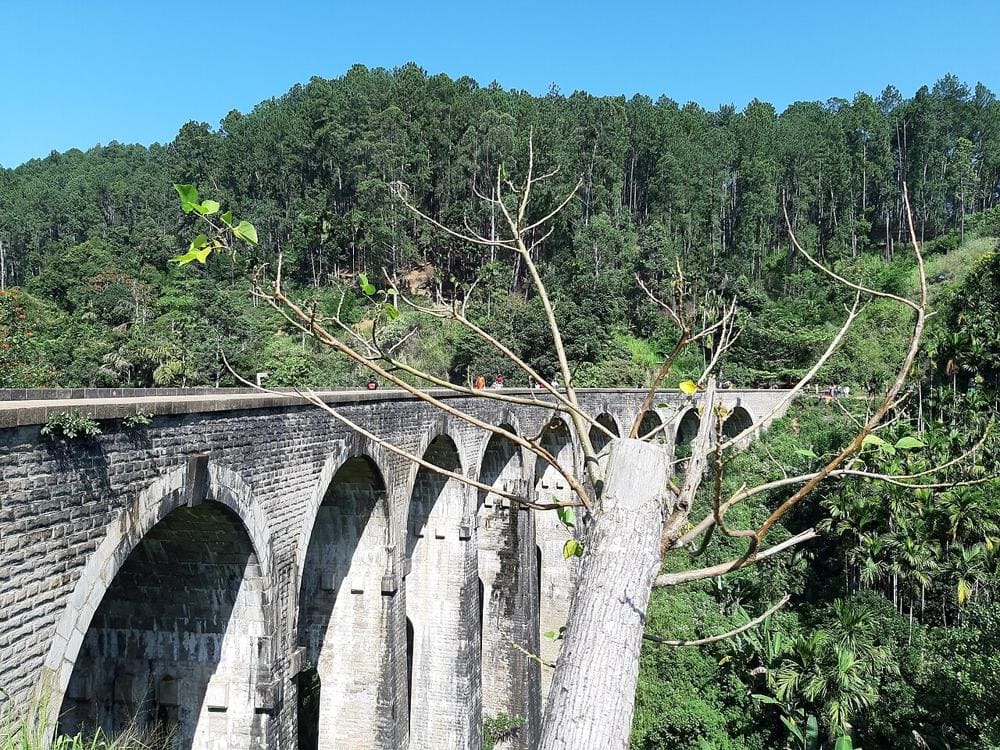 Il ponte dei nove archi nella giungla